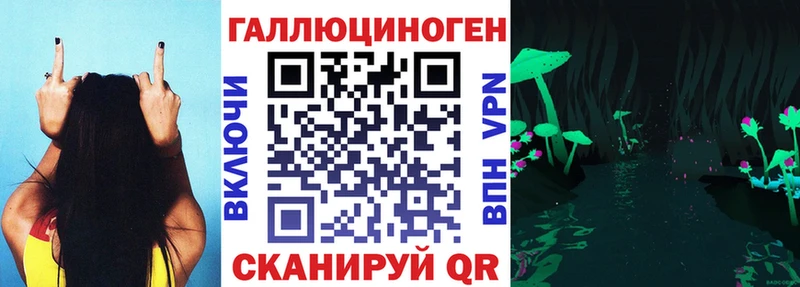 блэк спрут как войти  Гусь-Хрустальный  Псилоцибиновые грибы GOLDEN TEACHER  как найти закладки 