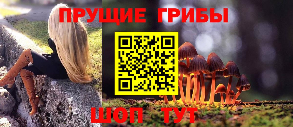 Галлюциногенные грибы ЛСД  Галлюциногенные грибы мухоморы  Гусь-Хрустальный 