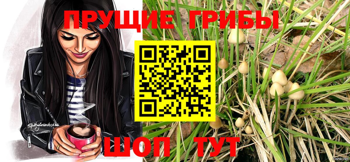 Псилоцибиновые грибы Psilocybe Гусь-Хрустальный