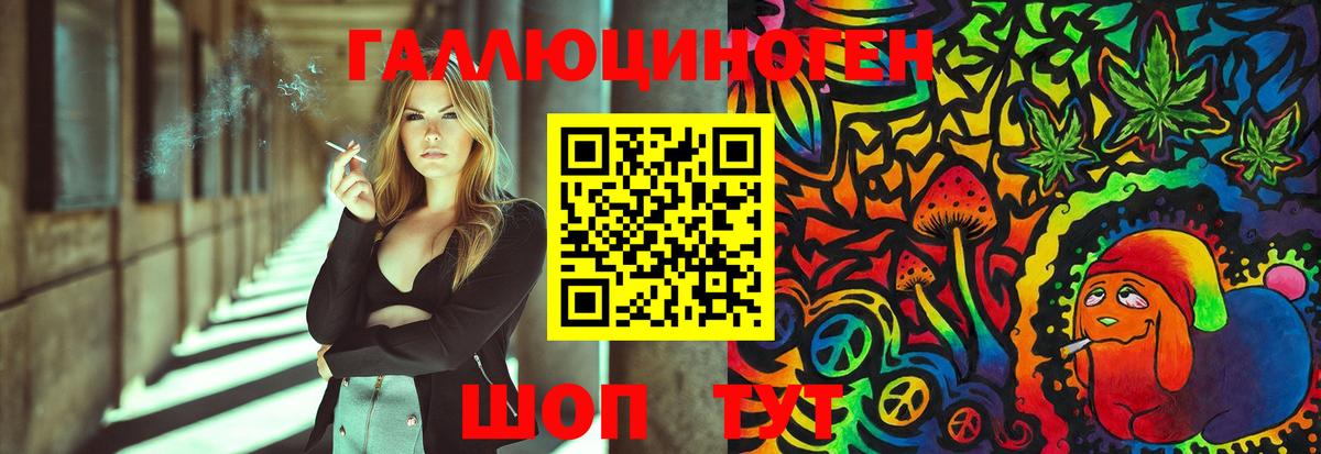 Галлюциногенные грибы Psilocybe Гусь-Хрустальный